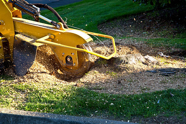 Lawn Drainage Solutions in East Wenatchee, WA